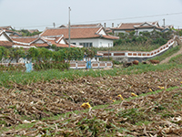 Blick über dörfliche Landwirtschaft